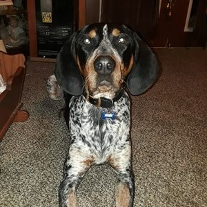 Meet your Posher, Kris